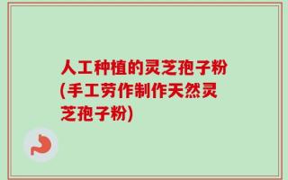 人工种植的灵芝孢子粉(手工劳作制作天然灵芝孢子粉)