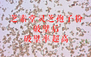 去壁灵芝孢子粉好吗?和破壁灵芝孢子粉有什么不同? 去壁灵芝孢子粉好吗?和破壁灵芝孢子粉有什么不同?