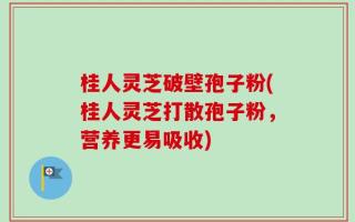桂人灵芝破壁孢子粉(桂人灵芝打散孢子粉，营养更易吸收)