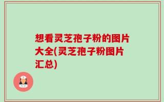 想看灵芝孢子粉的图片大全(灵芝孢子粉图片汇总)