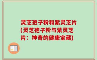 灵芝孢子粉和紫灵芝片(灵芝孢子粉与紫灵芝片：神奇的健康宝藏)
