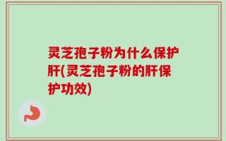 灵芝孢子粉为什么保护肝(灵芝孢子粉的肝保护功效)