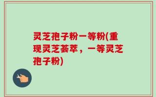 灵芝孢子粉一等粉(重现灵芝荟萃，一等灵芝孢子粉)