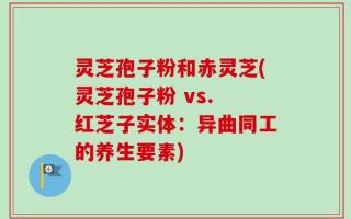 灵芝孢子粉和赤灵芝(灵芝孢子粉 vs. 红芝子实体：异曲同工的养生要素)