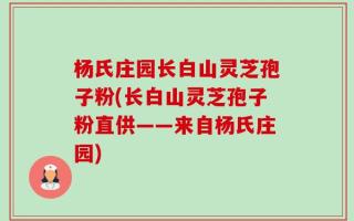 杨氏庄园长白山灵芝孢子粉(长白山灵芝孢子粉直供——来自杨氏庄园)