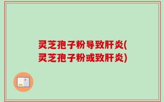 灵芝孢子粉导致肝炎(灵芝孢子粉或致肝炎)