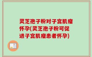 灵芝孢子粉对子宫肌瘤怀孕(灵芝孢子粉可促进子宫肌瘤患者怀孕)