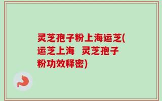 灵芝孢子粉上海运芝(运芝上海  灵芝孢子粉功效释密)