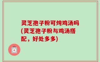 灵芝孢子粉可炖鸡汤吗(灵芝孢子粉与鸡汤搭配，好处多多)