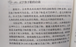 肝癌吃灵芝孢子粉好吗？能起到什么效果？