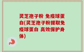 灵芝孢子粉 免疫球蛋白(灵芝孢子粉提取免疫球蛋白 高效保护身体)