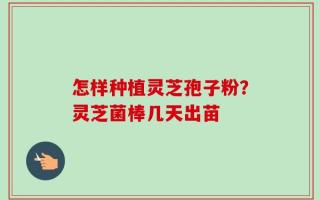 怎样种植灵芝孢子粉？灵芝菌棒几天出苗