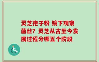 灵芝孢子粉 镜下观察菌丝？灵芝从古至今发展过程分哪五个阶段