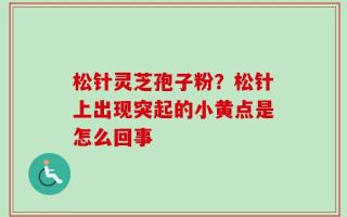 松针灵芝孢子粉？松针上出现突起的小黄点是怎么回事