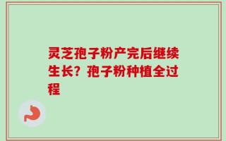 灵芝孢子粉产完后继续生长？孢子粉种植全过程