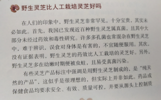灵芝孢子粉和野生灵芝哪个好?买哪个更划算