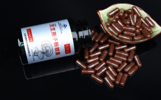 灵芝孢子粉用水还是蜂蜜冲？怎么才能发挥作用？