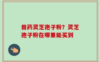 兽药灵芝孢子粉？灵芝孢子粉在哪里能买到