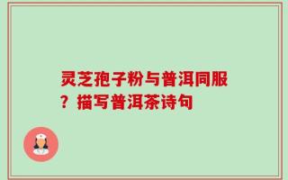 灵芝孢子粉与普洱同服？描写普洱茶诗句
