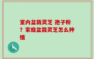 室内盆栽灵芝 孢子粉？家庭盆栽灵芝怎么种植