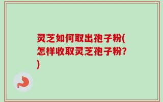灵芝如何取出孢子粉(怎样收取灵芝孢子粉？)