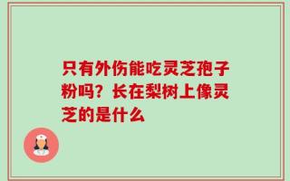 只有外伤能吃灵芝孢子粉吗？长在梨树上像灵芝的是什么