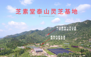 破壁灵芝孢子粉价格的差别很大是什么原因? 破壁灵芝孢子粉价格的差别很大是什么原因?