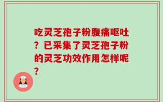 吃灵芝孢子粉腹痛呕吐？已采集了灵芝孢子粉的灵芝功效作用怎样呢？