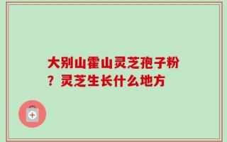 大别山霍山灵芝孢子粉？灵芝生长什么地方