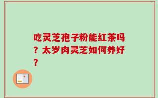 吃灵芝孢子粉能红茶吗？太岁肉灵芝如何养好？