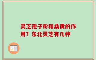 灵芝孢子粉和桑黄的作用？东北灵芝有几种