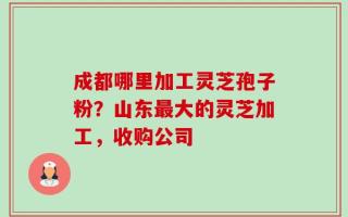 成都哪里加工灵芝孢子粉？山东最大的灵芝加工，收购公司