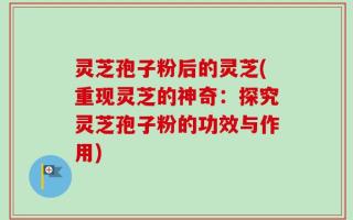 灵芝孢子粉后的灵芝(重现灵芝的神奇：探究灵芝孢子粉的功效与作用)