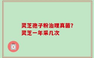 灵芝孢子粉治理真菌？灵芝一年采几次