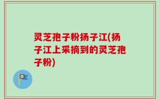 灵芝孢子粉扬子江(扬子江上采摘到的灵芝孢子粉)