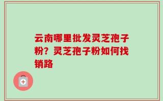 云南哪里批发灵芝孢子粉？灵芝孢子粉如何找销路