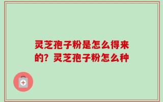 灵芝孢子粉是怎么得来的？灵芝孢子粉怎么种