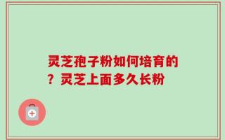 灵芝孢子粉如何培育的？灵芝上面多久长粉