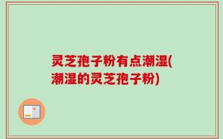 灵芝孢子粉有点潮湿(潮湿的灵芝孢子粉)