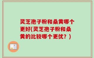 灵芝孢子粉和桑黄哪个更好(灵芝孢子粉和桑黄的比较哪个更优？)