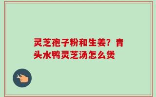 灵芝孢子粉和生姜？青头水鸭灵芝汤怎么煲