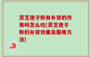 灵芝孢子粉有补肾的作用吗怎么吃(灵芝孢子粉的补肾效果及服用方法)