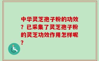 中华灵芝孢子粉的功效？已采集了灵芝孢子粉的灵芝功效作用怎样呢？