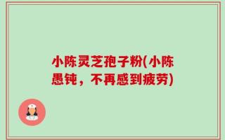 小陈灵芝孢子粉(小陈愚钝，不再感到疲劳)