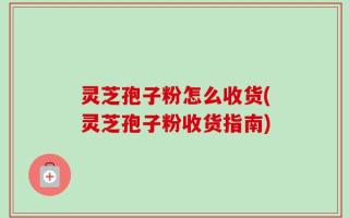 灵芝孢子粉怎么收货(灵芝孢子粉收货指南)