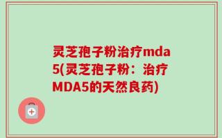 灵芝孢子粉治疗mda5(灵芝孢子粉：治疗MDA5的天然良药)