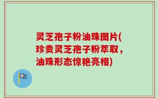 灵芝孢子粉油珠图片(珍贵灵芝孢子粉萃取，油珠形态惊艳亮相)