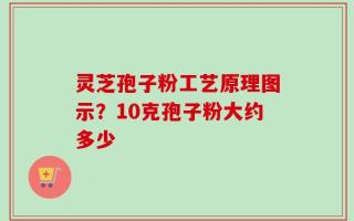 灵芝孢子粉工艺原理图示？10克孢子粉大约多少