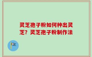 灵芝孢子粉如何种出灵芝？灵芝孢子粉制作法