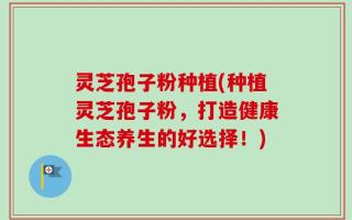 灵芝孢子粉种植(种植灵芝孢子粉，打造健康生态养生的好选择！)